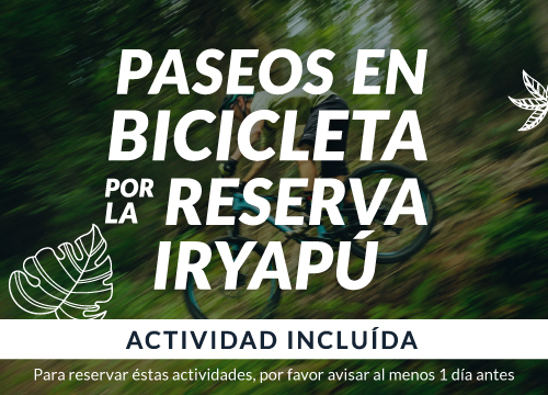 actividad-1-esp-mob