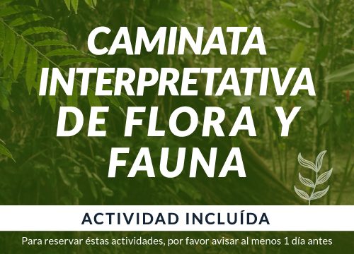 actividad-2-esp-mob