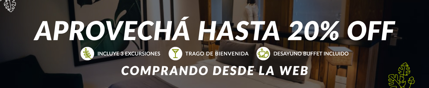 promo-20-off-espanol-desktop